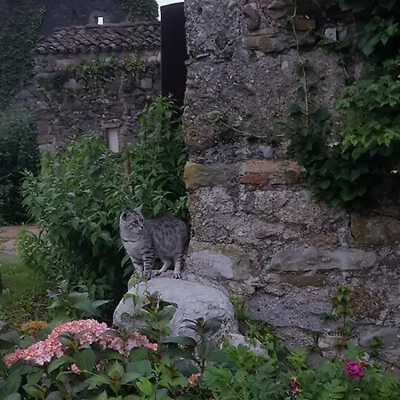 La Brunelde Fagagna